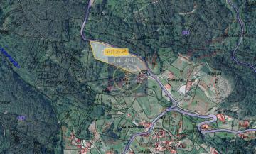 Terreno rustico ideal para explotacion 10.000 m2 en Tui
